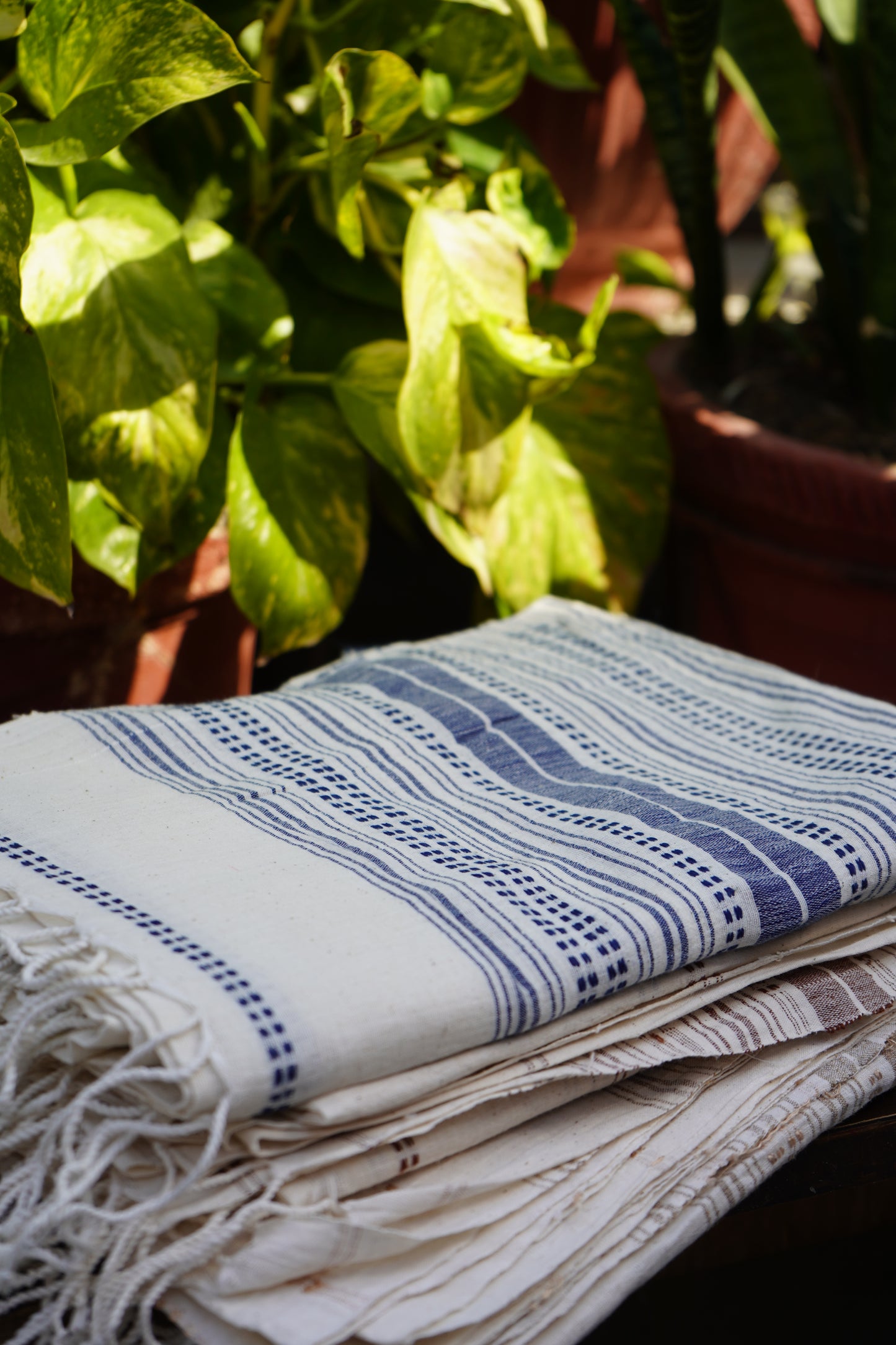 Brown Natural Handwoven Cotton Dupatta with Intricate Threadwork - 60/33 count