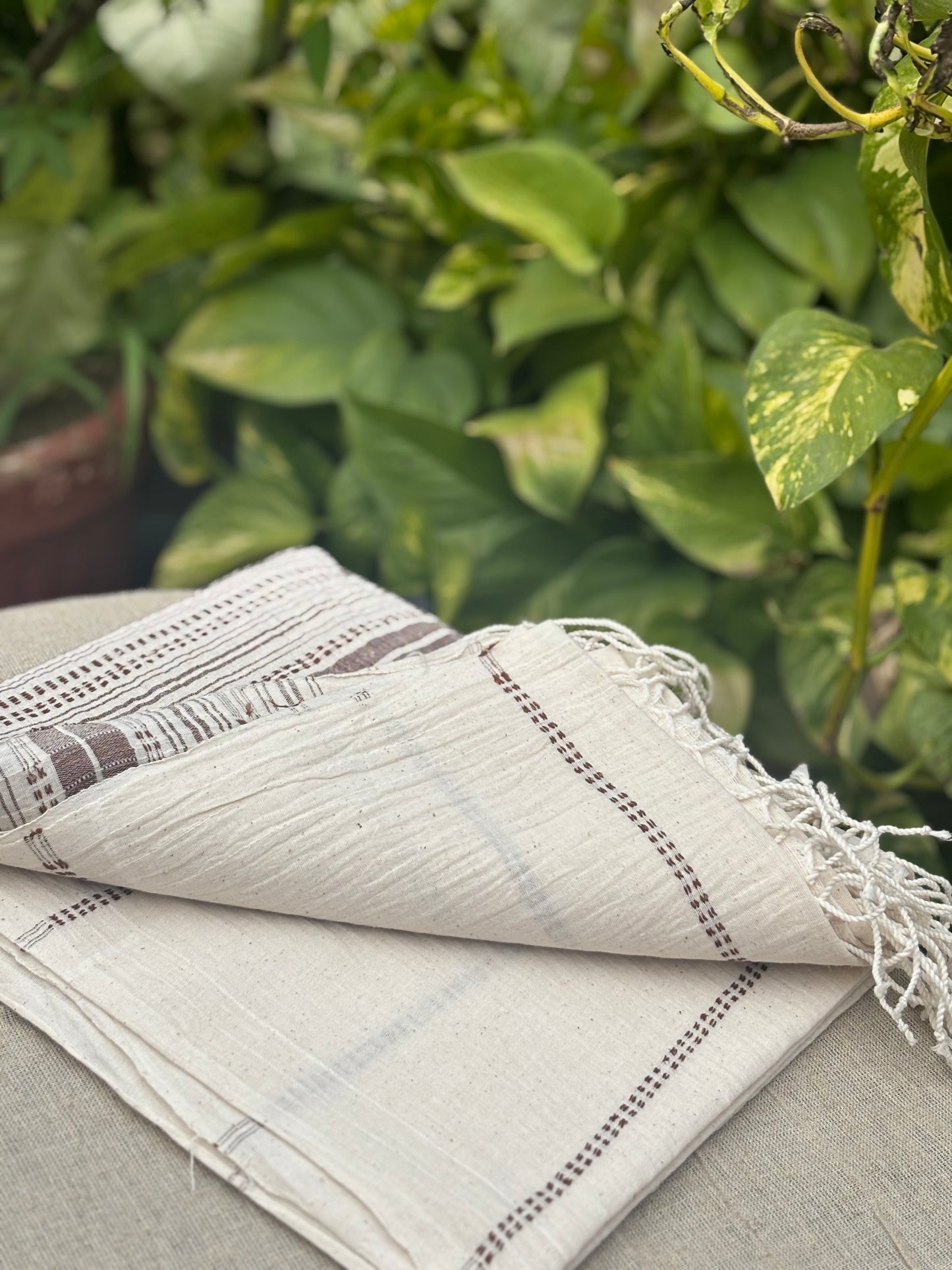Indigo Natural Handwoven Cotton Dupatta with Intricate Threadwork - 60/33 count