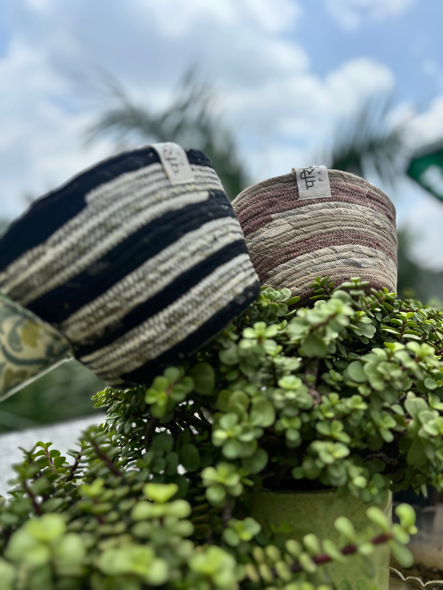 Upcycled Zero Waste Basket for Planters & Home Décor